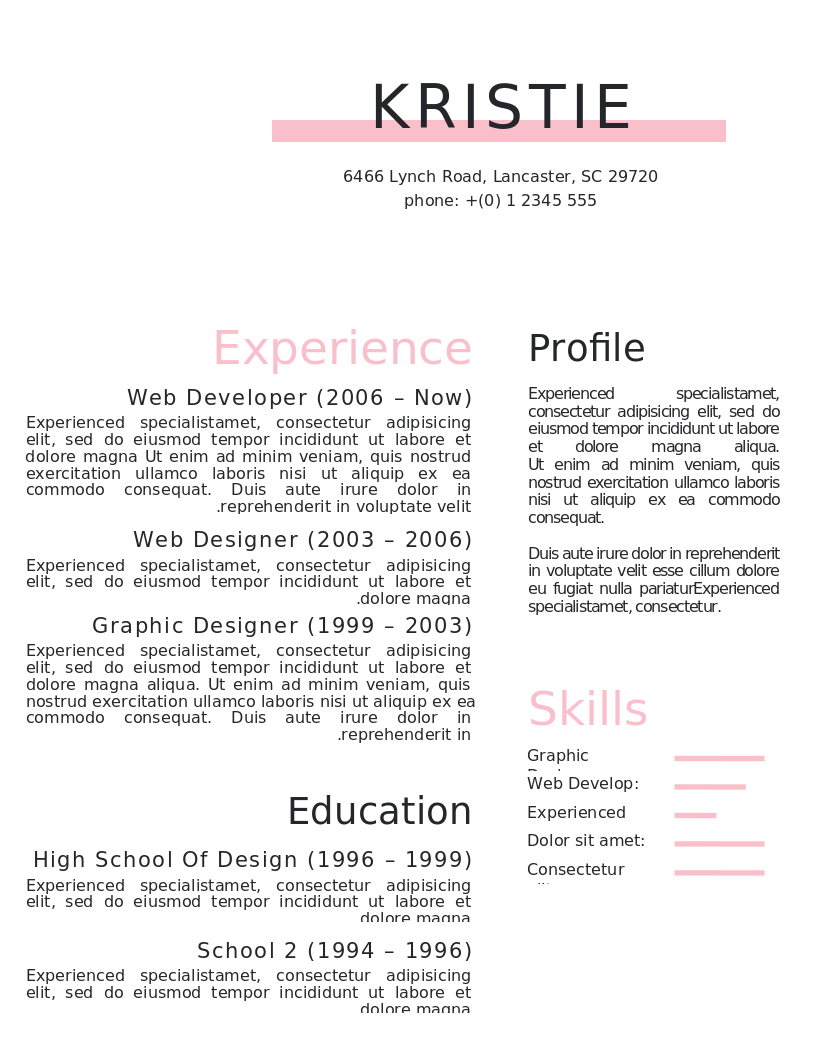 Crisp and Clean CV – Vorschau